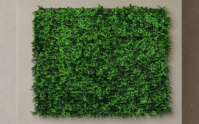 Softscape collection placeholder