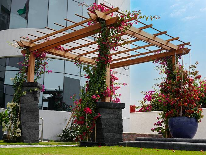 Premium pergola outdoor living space